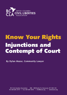 Thumbnail of the cover with the title and the BC Civil Liberties Association logo.